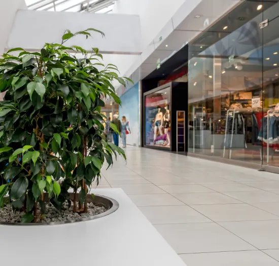 Shopping Mall